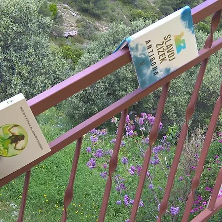 Apartmán Mediterranea *