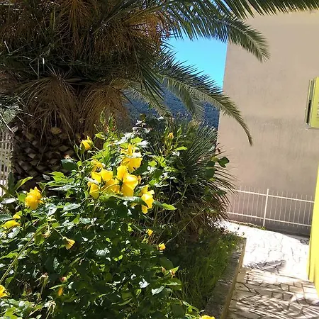 Apartment Mediterranea