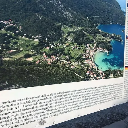 Mediterranea