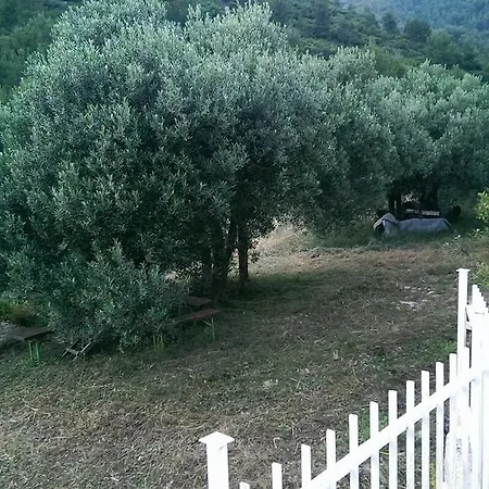 Apartment Mediterranea