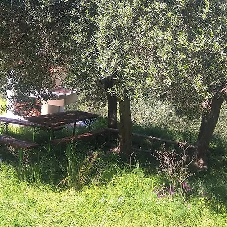 Mediterranea