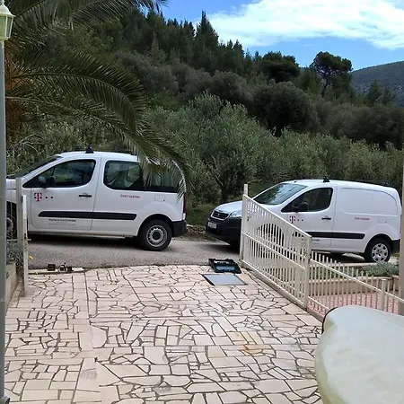 Mediterranea