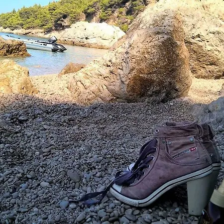 Mediterranea Žuljana